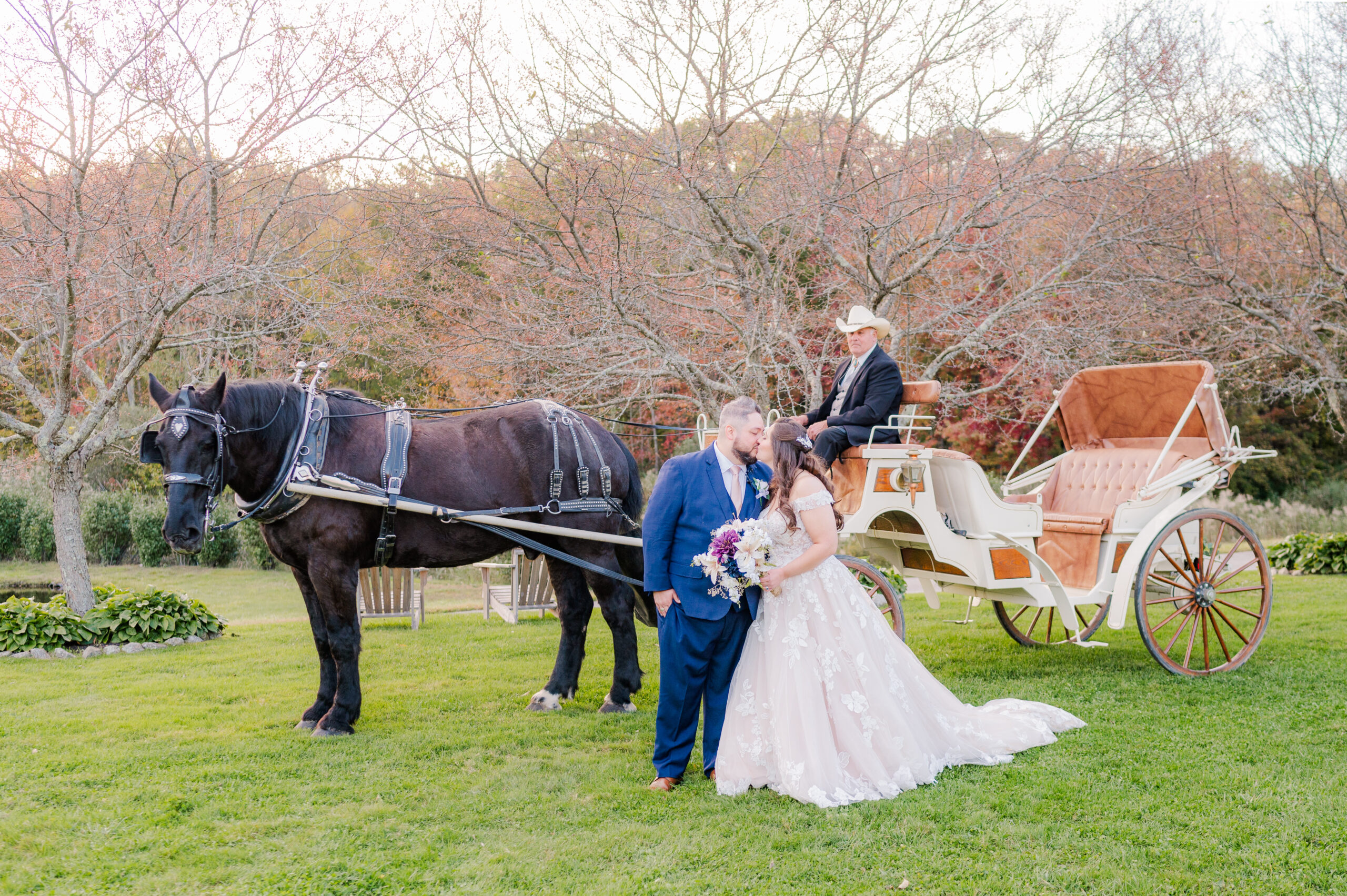 Horse drawn wedding carriage image by TM Grey Photo